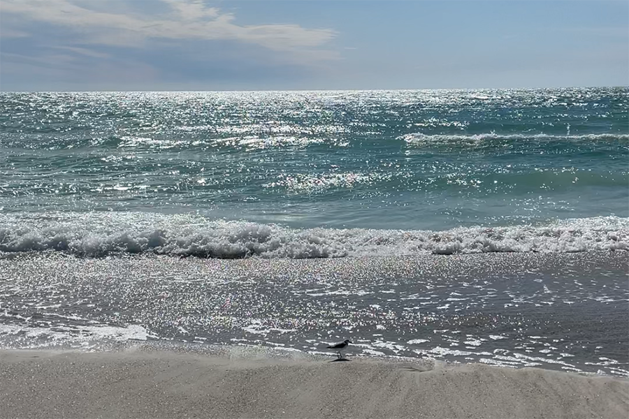 The beach on Anna Maria Island during the day. 