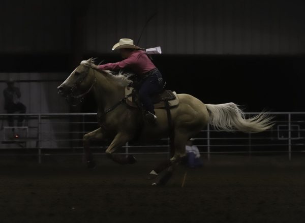 Galloping towards the gate, senior Anabella McNelly finishes her barrel racing run at BOD Rodeo 1 in Saginaw Sept 16. “It’s exhilarating, thrillling, exciting – especially when you win,” McNelly said. “You get there and you see your time and you’re like, ‘Oh my gosh. That was really good.’” McNelly finished with a time of 16.176 seconds, earning her fourth place.