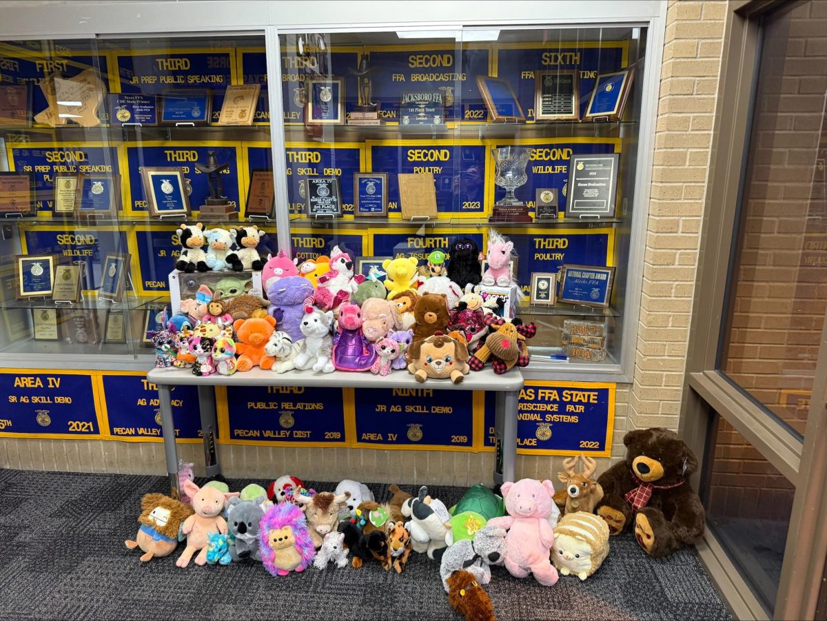 Students donated stuffed animals to FFA for Cook's Children Hospital. 